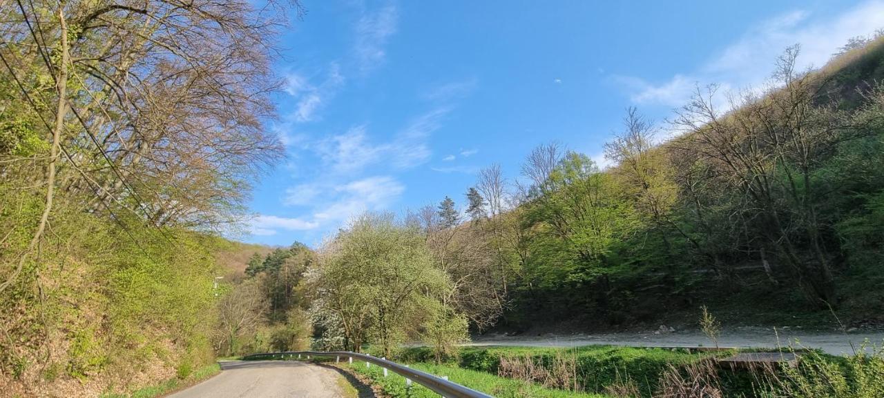 Hos-Cegledi Vendeghaz Miskolc -Oenallo Otthon, Mely Csak Az Oenoeke Exterior foto