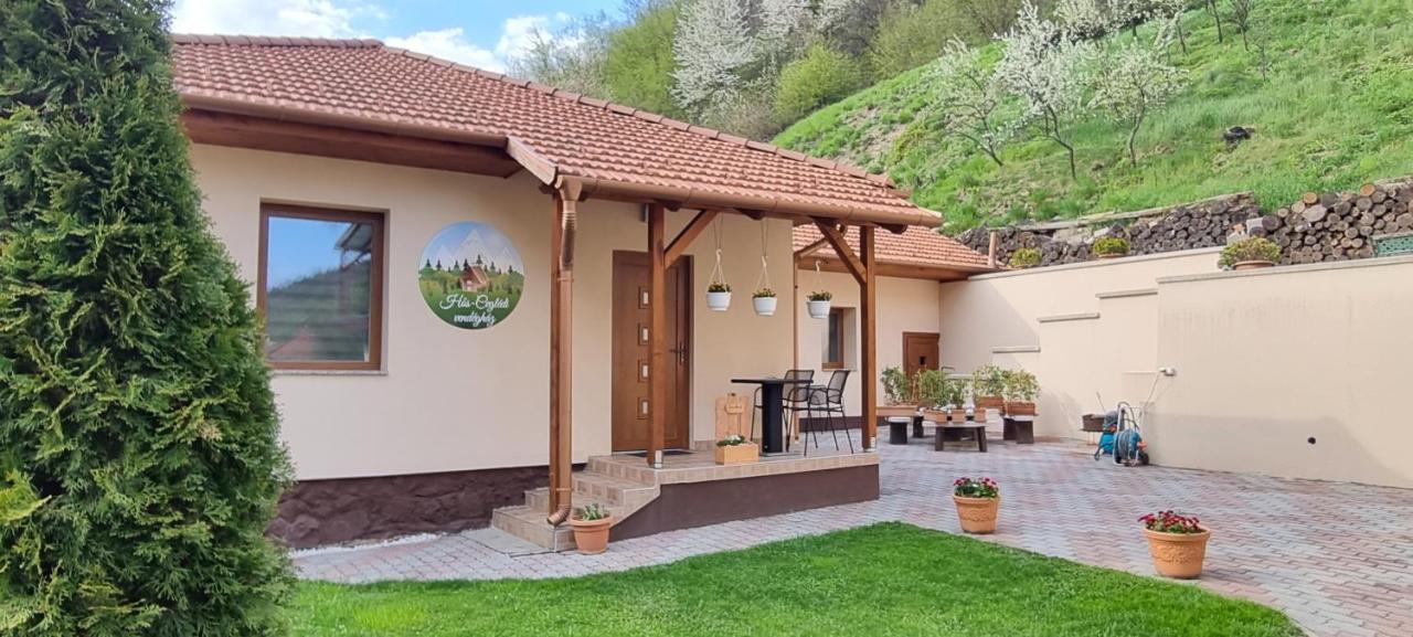 Hos-Cegledi Vendeghaz Miskolc -Oenallo Otthon, Mely Csak Az Oenoeke Exterior foto
