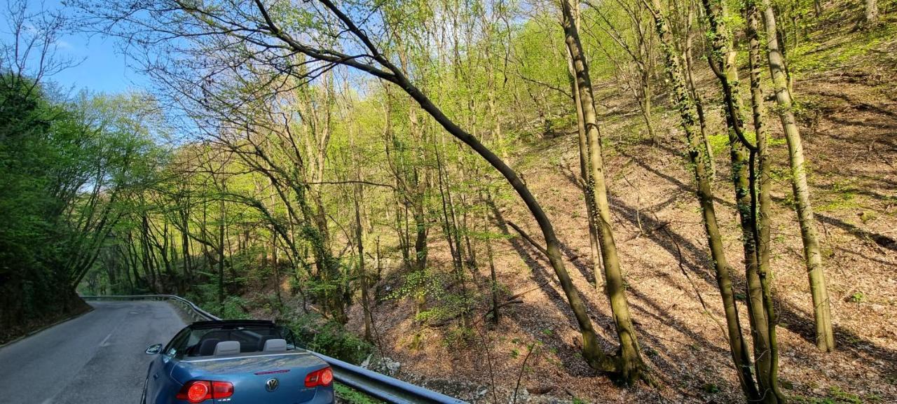 Hos-Cegledi Vendeghaz Miskolc -Oenallo Otthon, Mely Csak Az Oenoeke Exterior foto