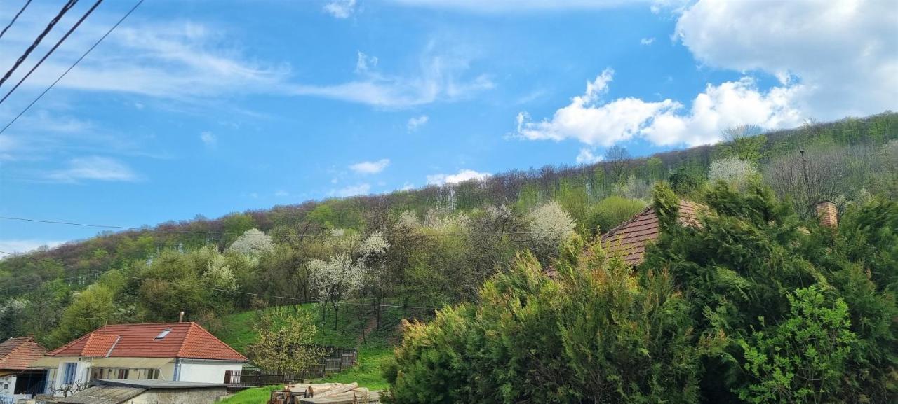 Hos-Cegledi Vendeghaz Miskolc -Oenallo Otthon, Mely Csak Az Oenoeke Exterior foto
